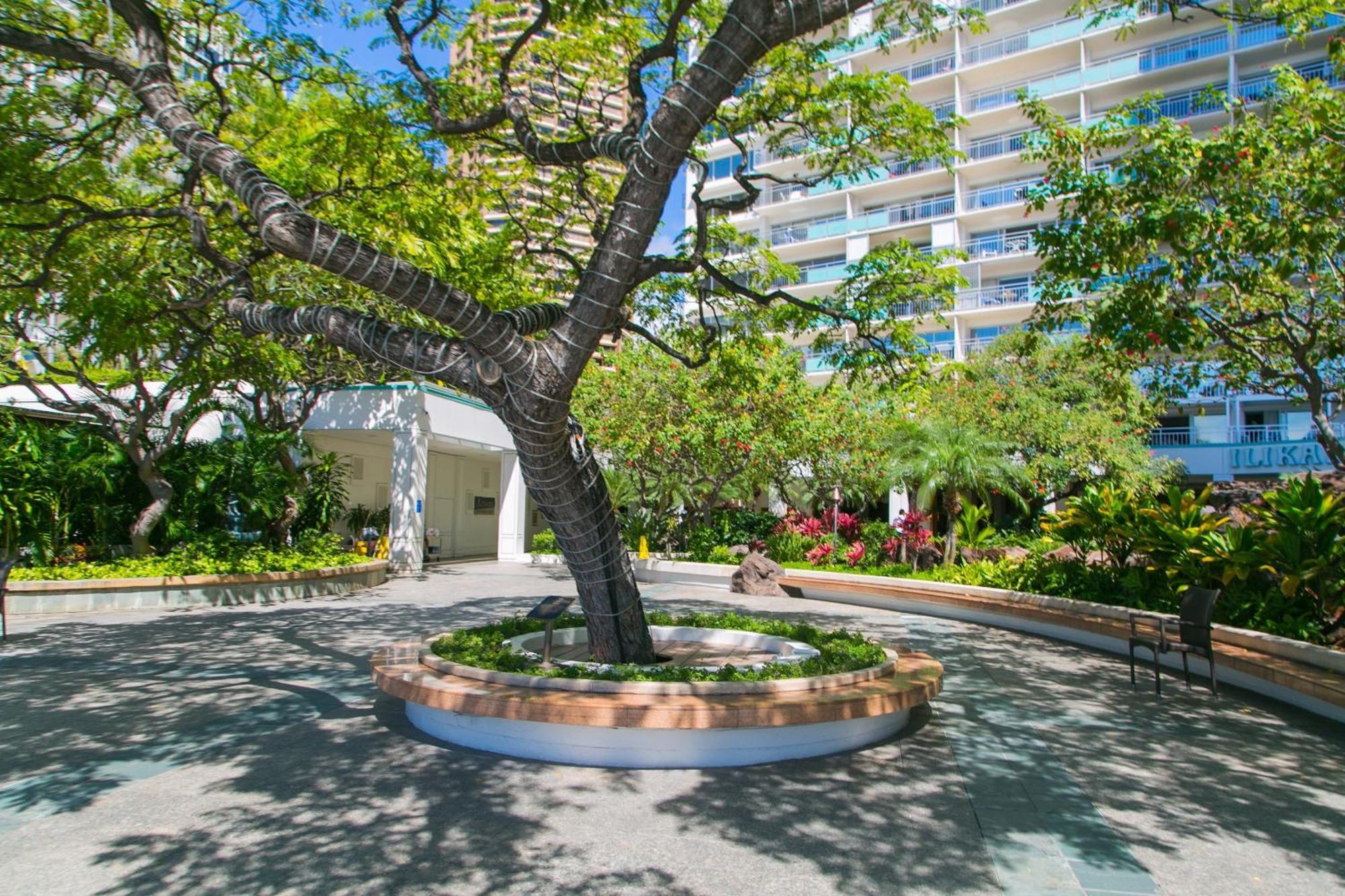 Ilikai Tower 525 City View 2Br Honolulu Exteriör bild